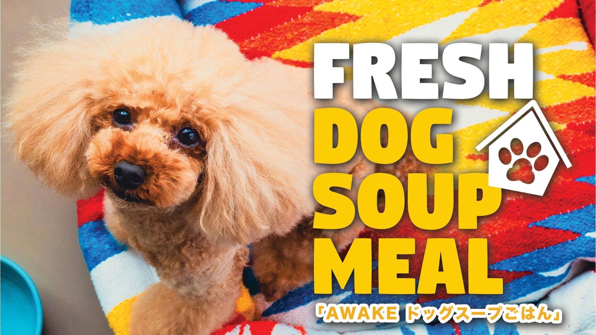 FRESH DOG SOUP MEAL「AWAKE ドッグスープごはん」